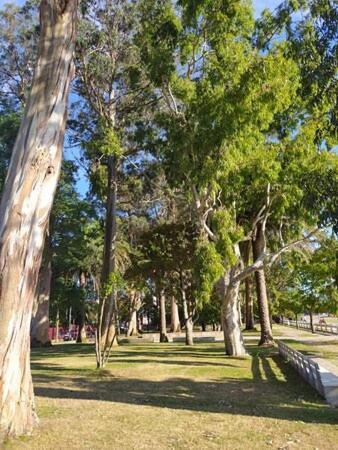 Apartamentos Mar De La Concha Vilagarcia de Arousa Esterno foto